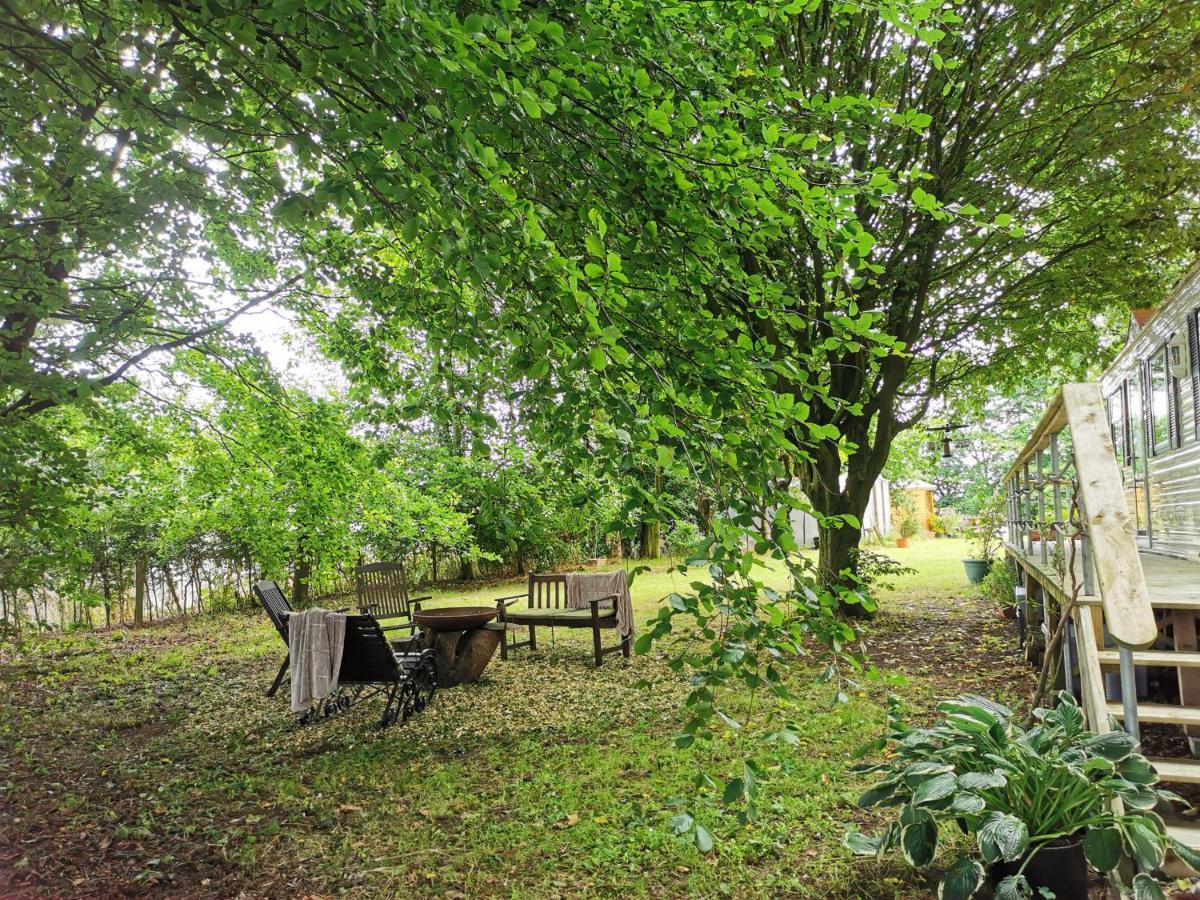 Doughery Den The Dark Hedges Hideaway Armoy Eksteriør billede