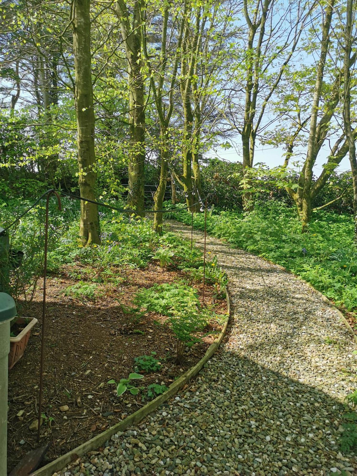 Doughery Den The Dark Hedges Hideaway Armoy Eksteriør billede
